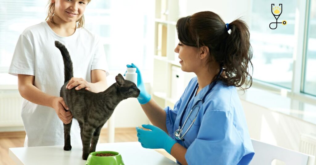 What is Cystitis in Cats?