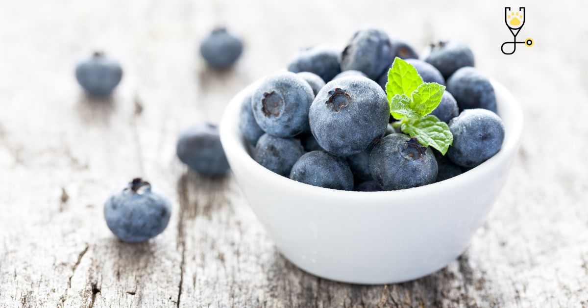 Benefits & Drawbacks Of Blueberries For Cats