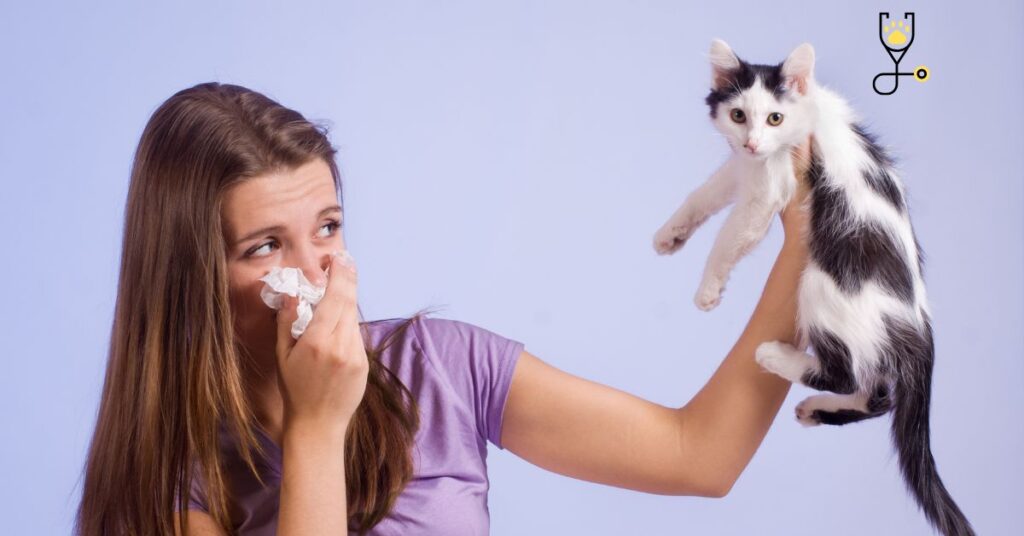 What to do if My Cat Catch My Cold?