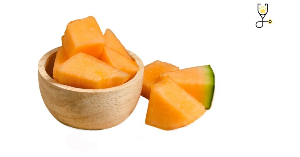  Can Cats Eat Cantaloupe?