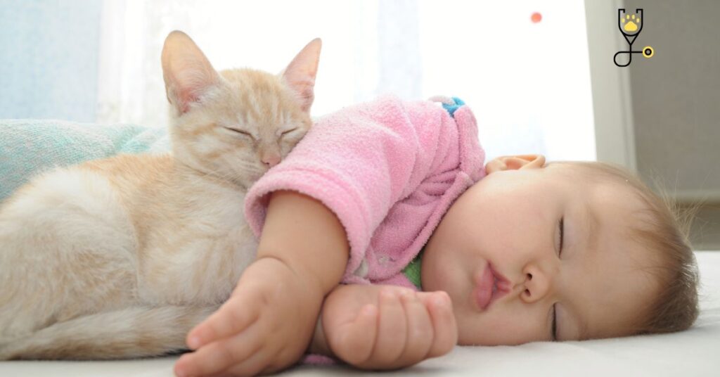 Why & How Pregnancy and Your New Baby Affect Your Cat