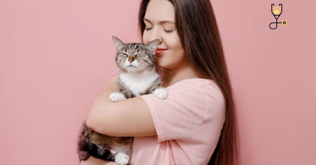 Things People Do That Cats Hate