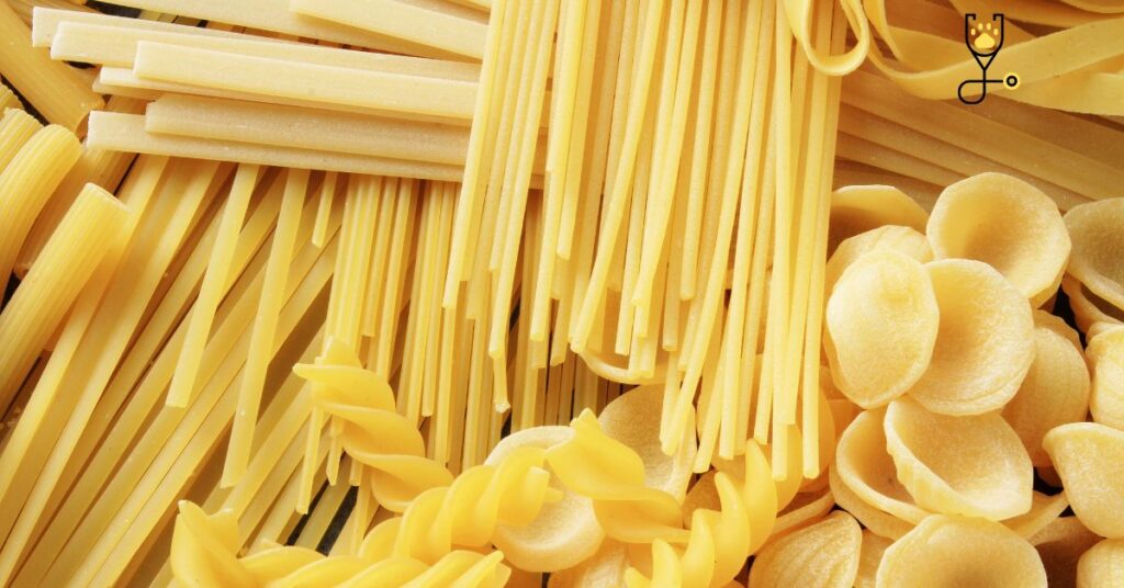 Tips for Adding Pasta to Your Cat's Diet